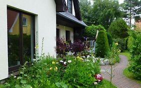 Seepferdchen